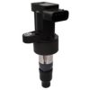 FISPA 85.30436 Ignition Coil